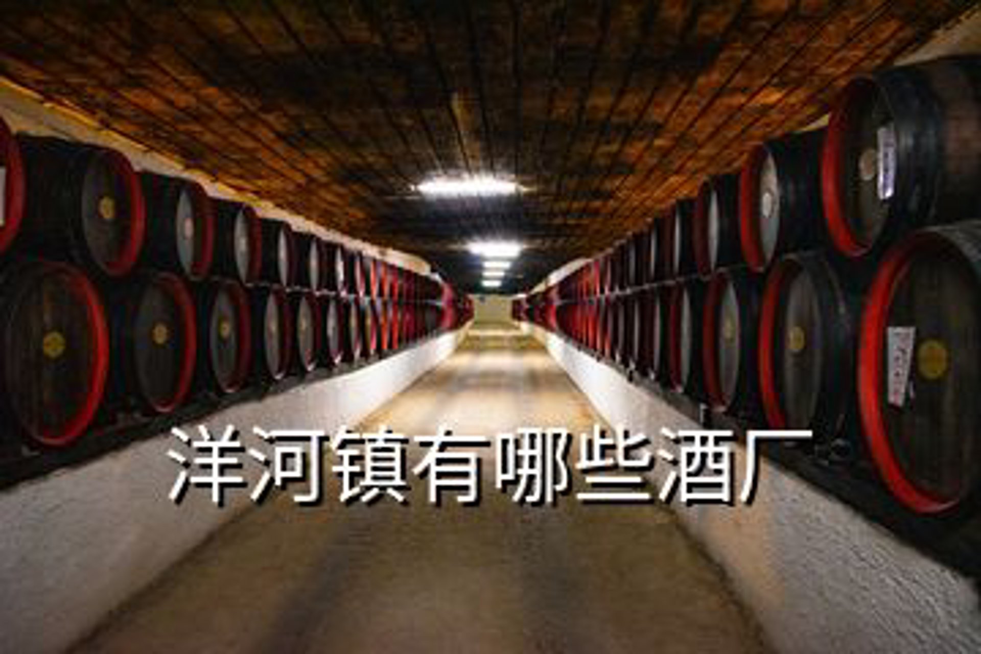 苏记酒业